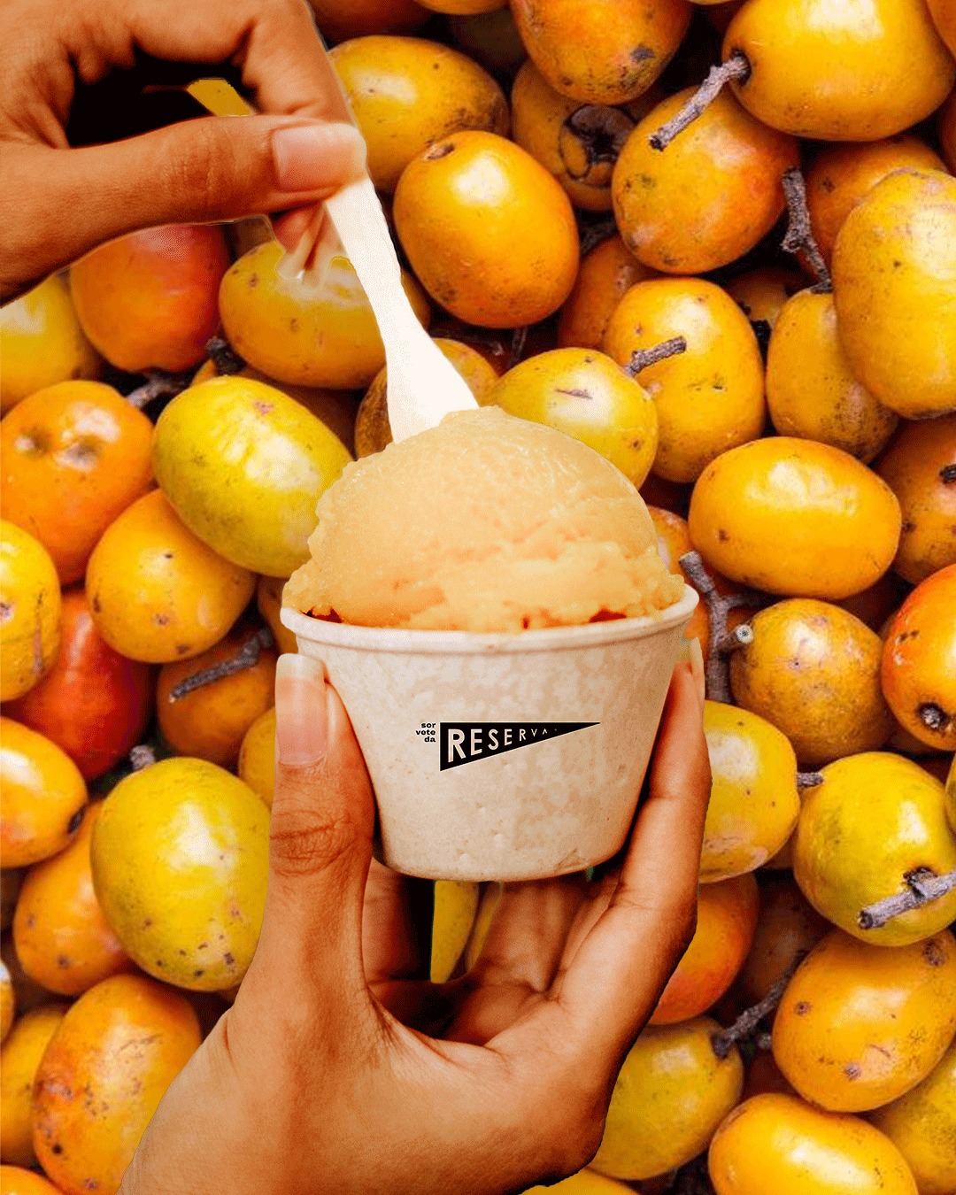 Sorbet de seriguela no copinho de mandioca